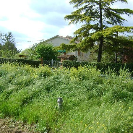 B&B La Mimosa Spello Zewnętrze zdjęcie
