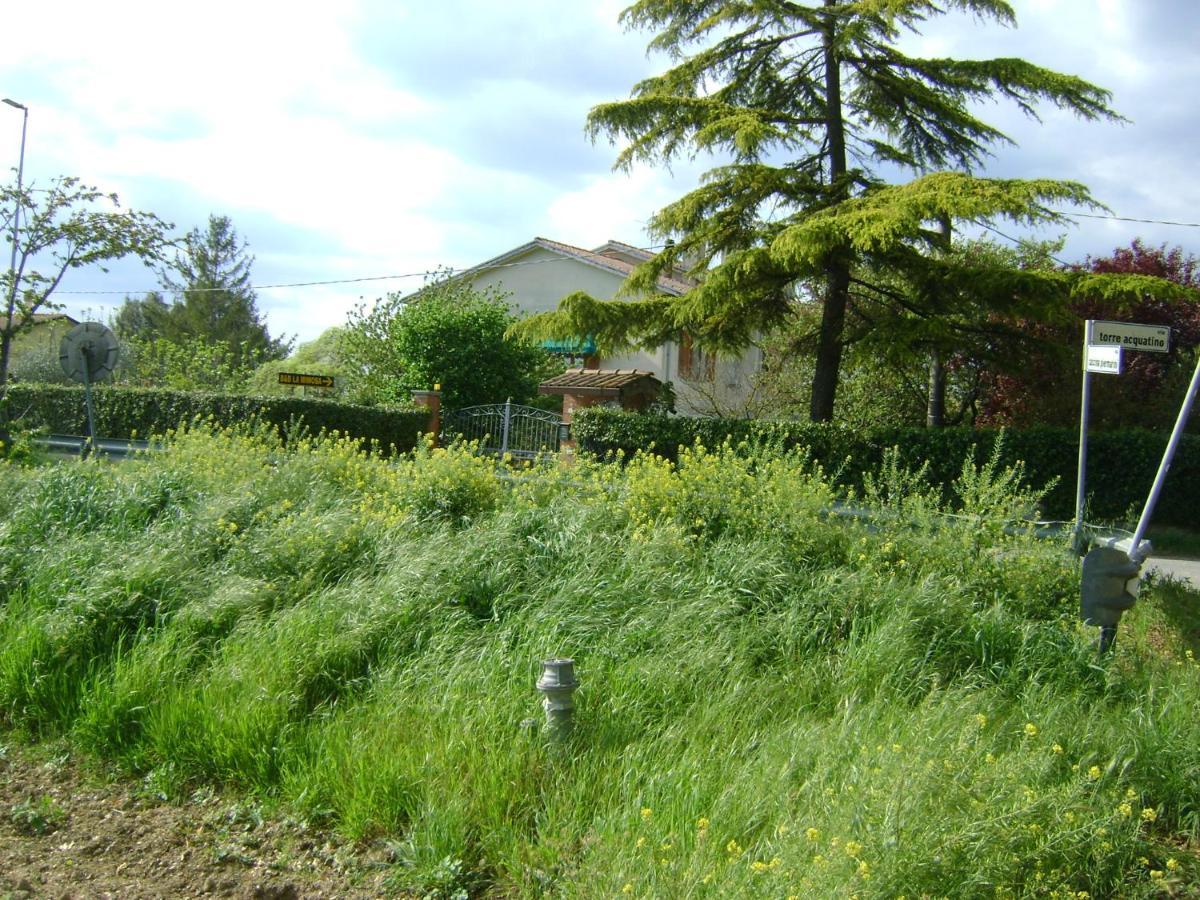 B&B La Mimosa Spello Zewnętrze zdjęcie