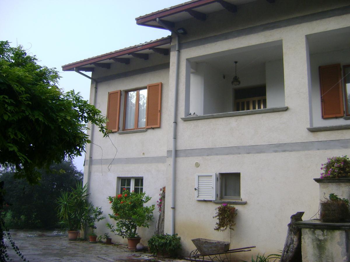 B&B La Mimosa Spello Zewnętrze zdjęcie
