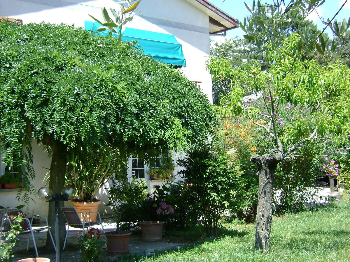 B&B La Mimosa Spello Zewnętrze zdjęcie